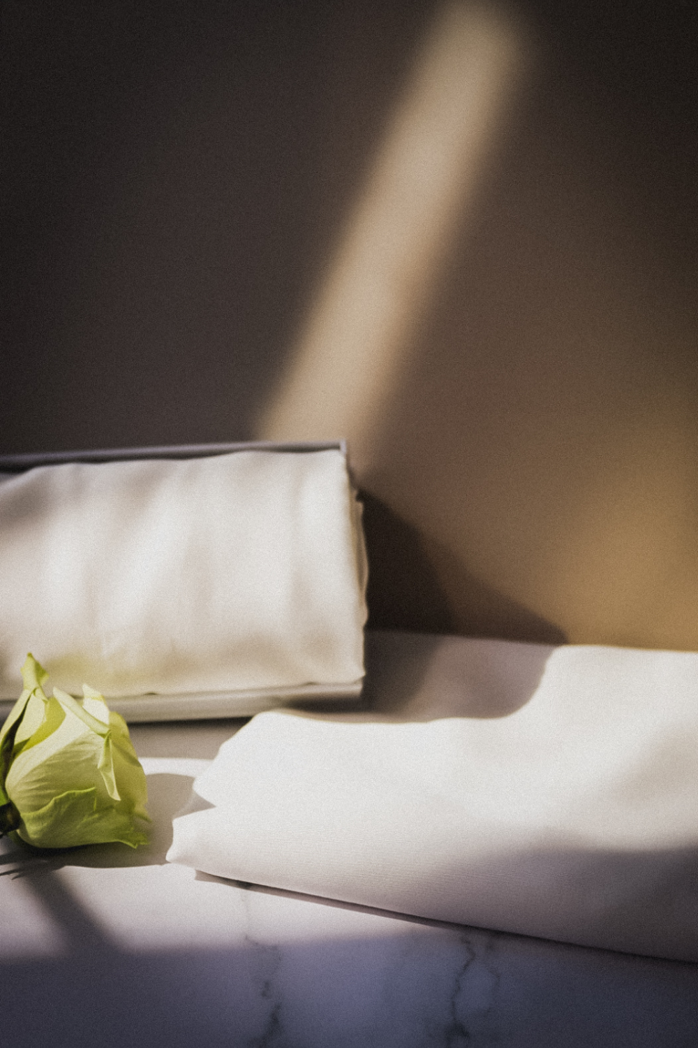 Silk Pillowcase (Ivory White)